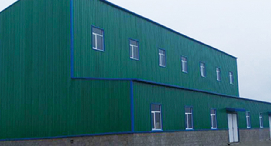 Kenya 100TPD Maize Milling Plant